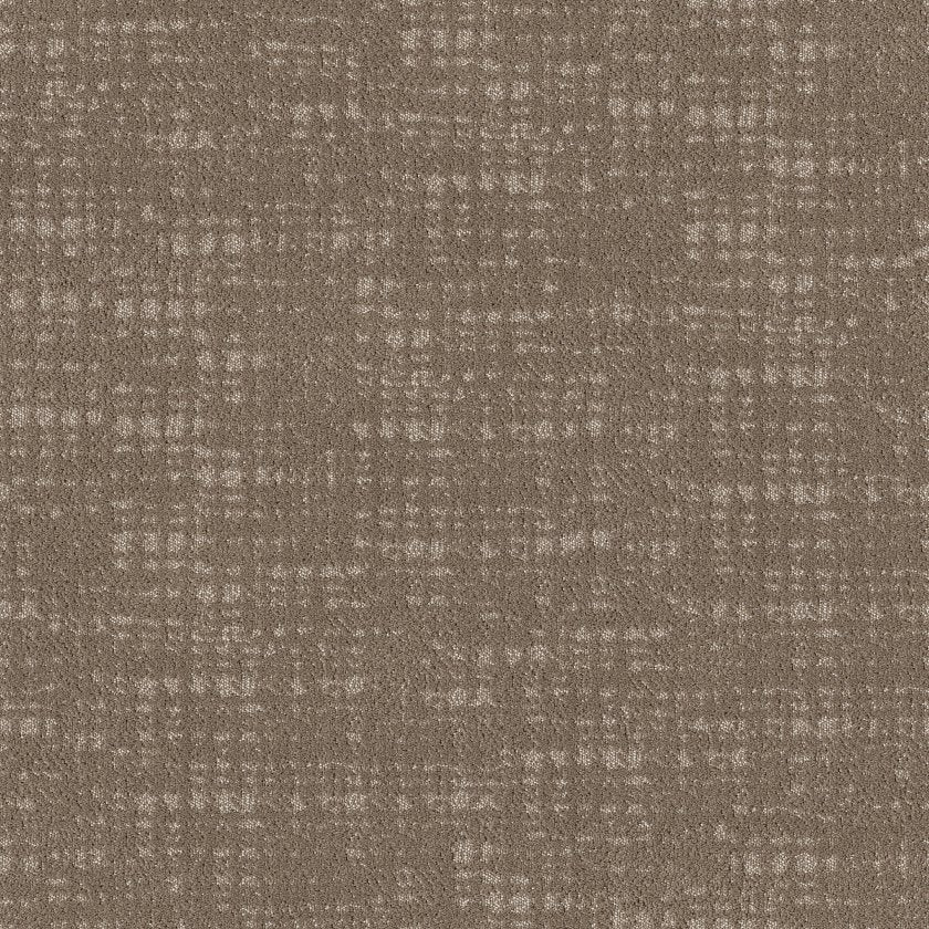 SHAW FLOORS - CARPET - TAILORED CRAFT - BESPOKE