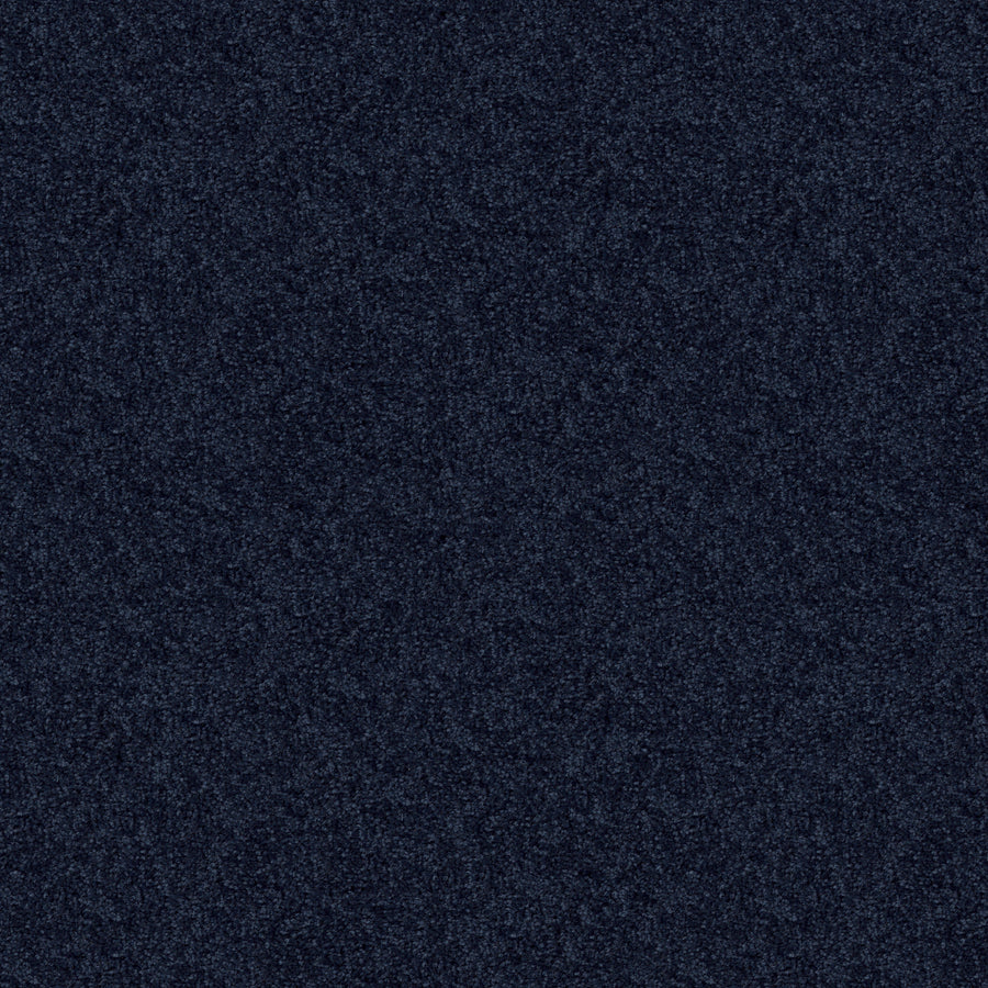Shaw Floors - Carpet - Full Court 12' - 12' - Evening Sky