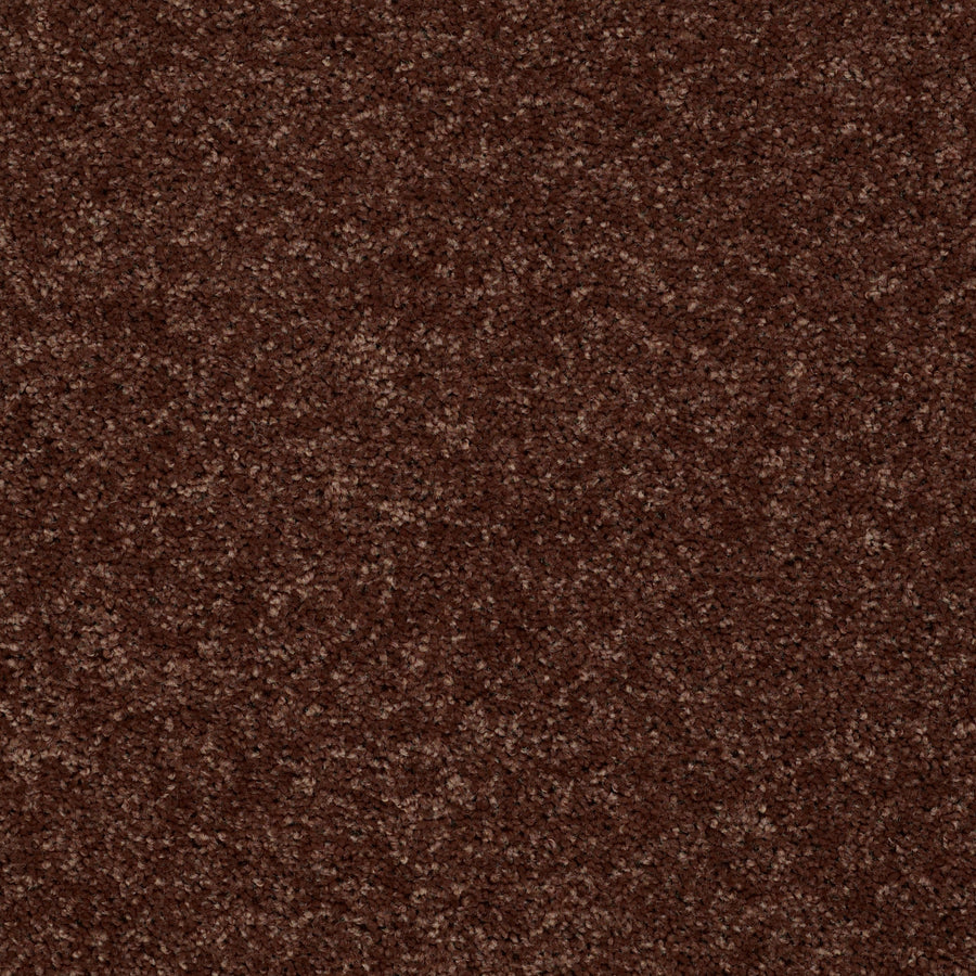 Shaw Floors - Carpet - Full Court 12' - 12' - Flower Pot