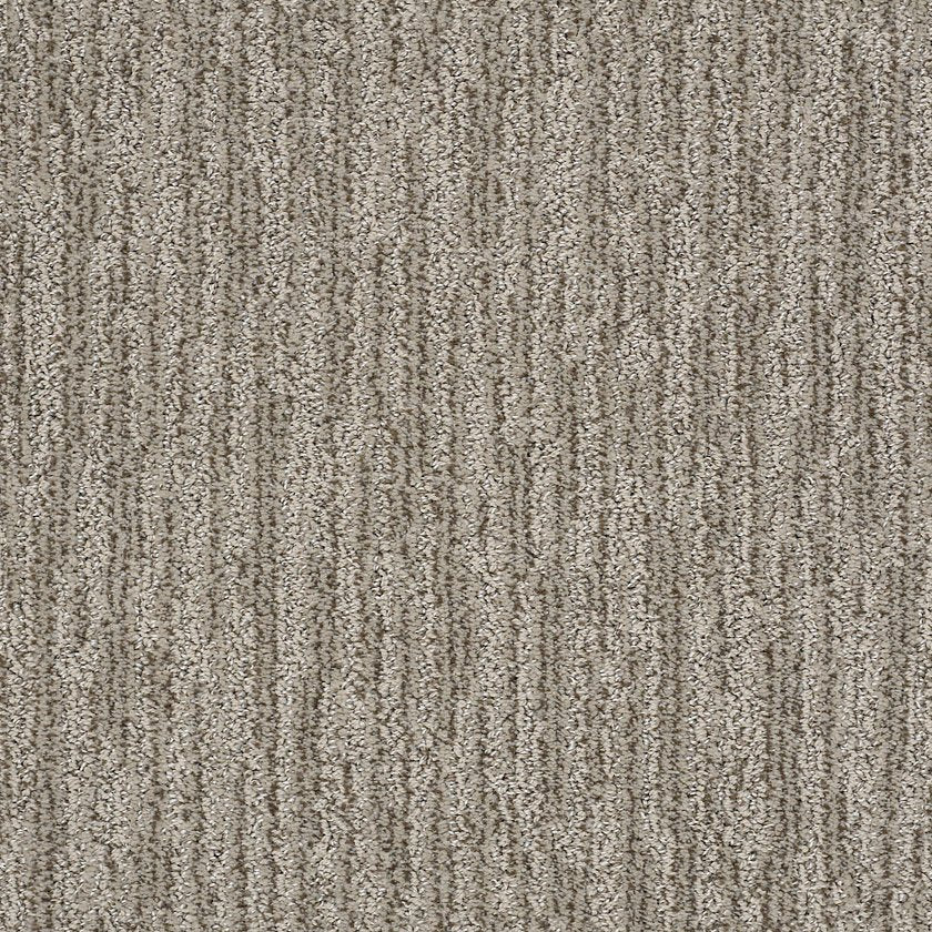 Shaw Floors - Carpet - Simply The Best Values Collection - Easy Fit - 12' - Mesa