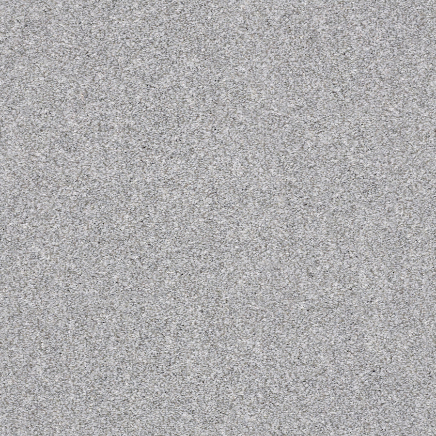 Shaw Floors - Carpet - Simply the Best Values Collection - Make It Mine I - 12' - Sterling