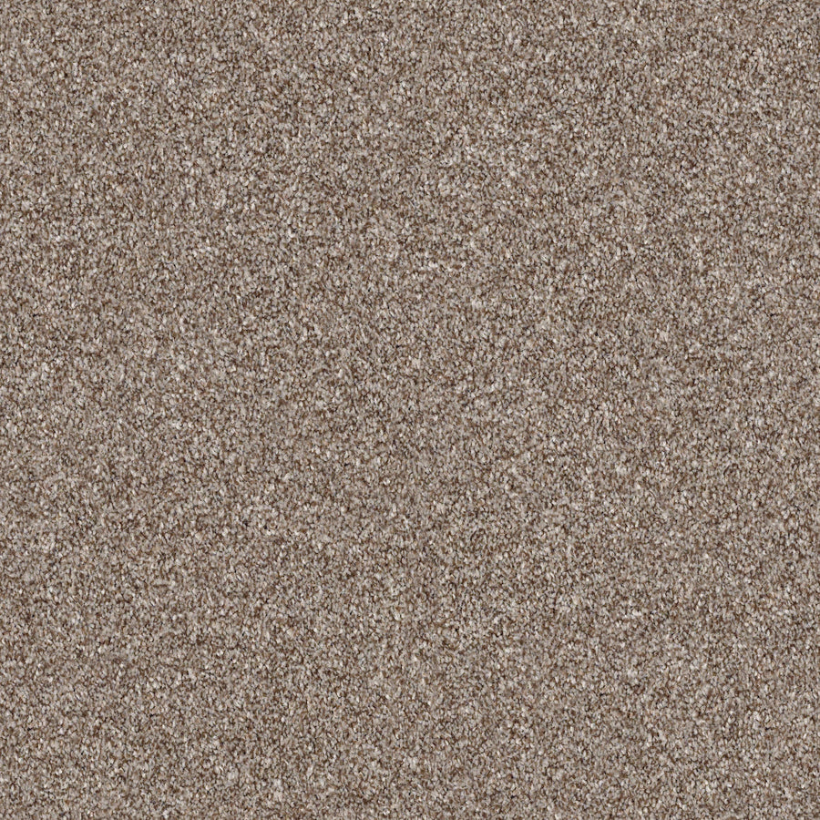 Shaw Floors - Carpet - Simply the Best Values Collection - Make It Mine I - 12' - Fox Hollow