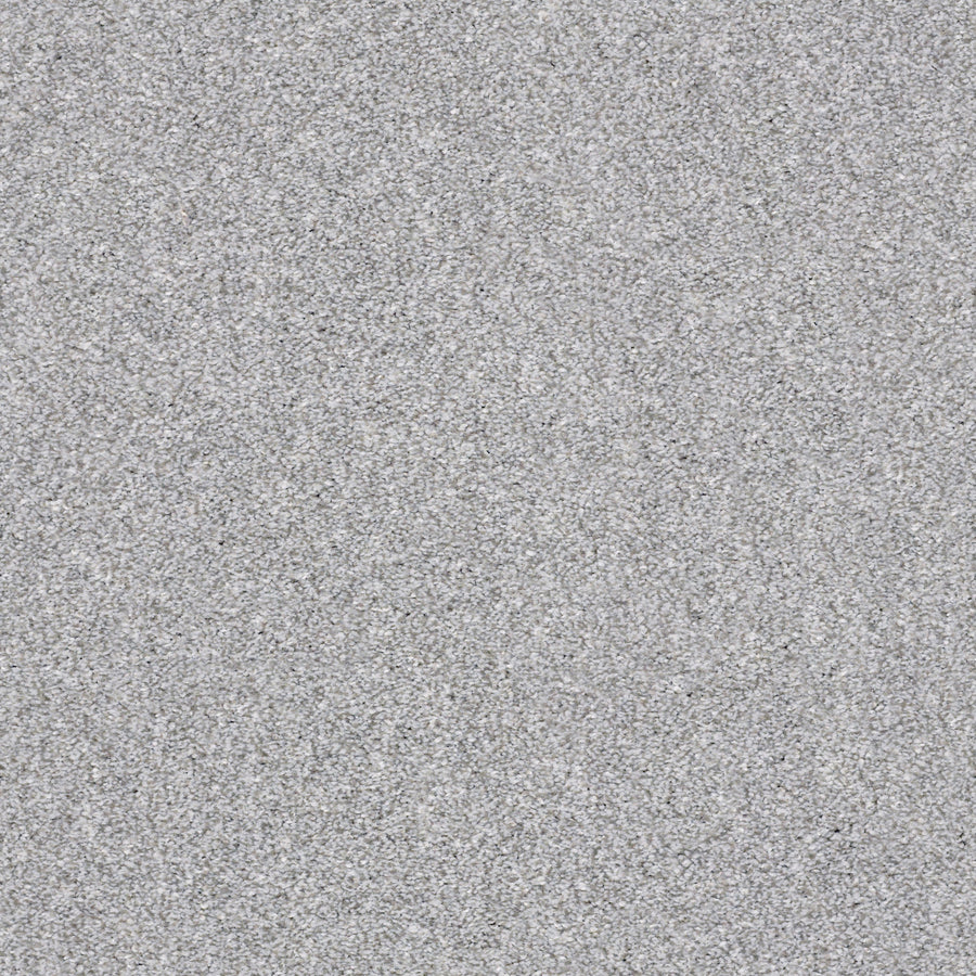 Shaw Floors - Carpet - Simply the Best Values Collection - Make It Mine II - 12' - Sterling