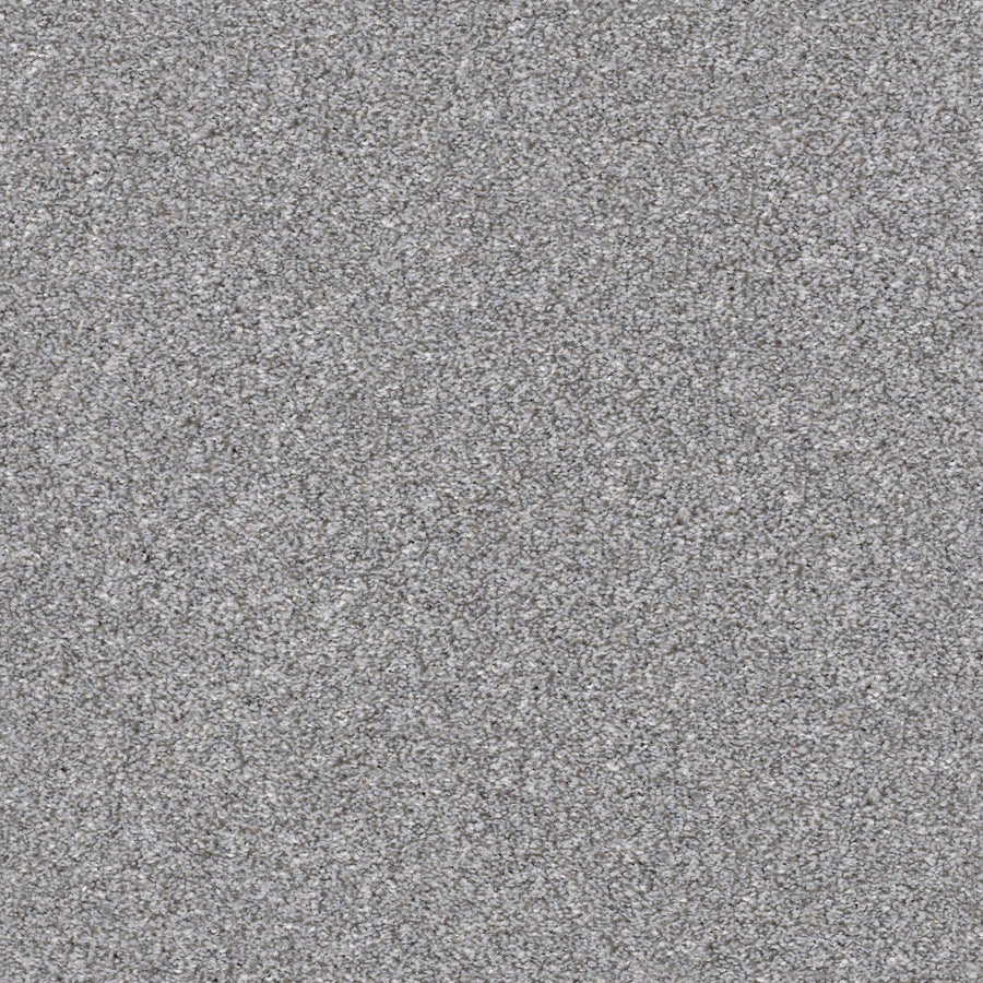 Shaw Floors - Carpet - Simply the Best Values Collection - Make It Mine II - 12' - Arctic Shadow