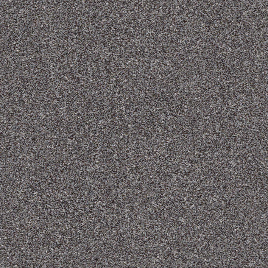 Shaw Floors - Carpet - Simply the Best Values Collection - Make It Mine II - 12' - Mocha
