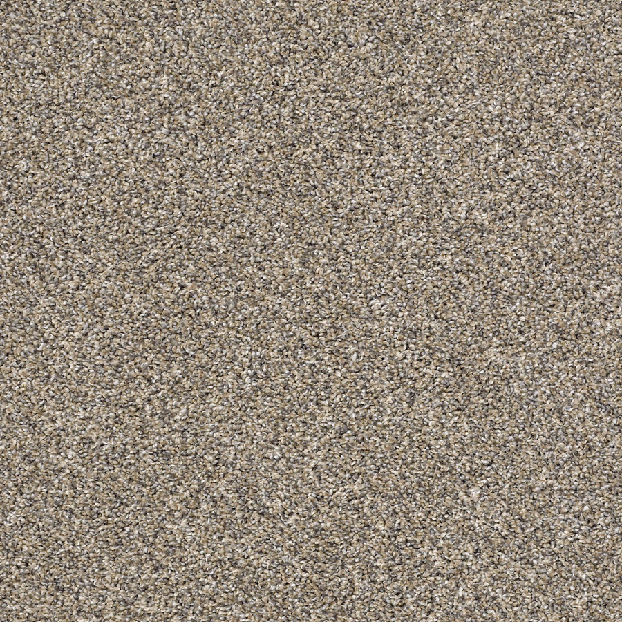 Shaw Floors - Carpet - Simply the Best Values Collection - After It I - 12' - Pebble Walk