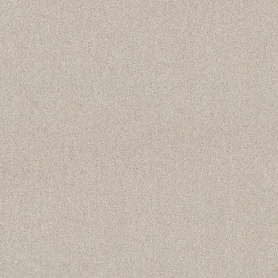 Shaw Floors - Carpet - Simply the Best Values Collection - Solidify III 12' - 12' - Minimalist