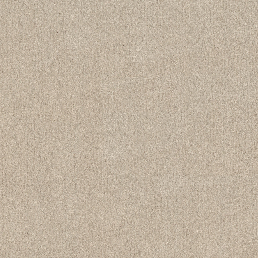 Shaw Floors - Carpet - Simply the Best Values Collection - Solidify III 12' - 12' - Bleached