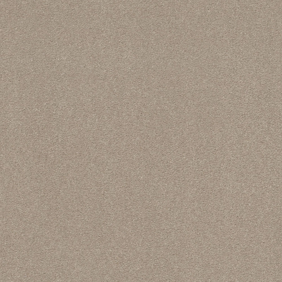 Shaw Floors - Carpet - Simply the Best Values Collection - Solidify III 12' - 12' - Dreamy