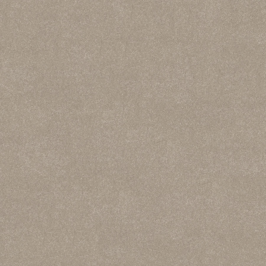 Shaw Floors - Carpet - Simply the Best Values Collection - Solidify III 12' - 12' - Greige