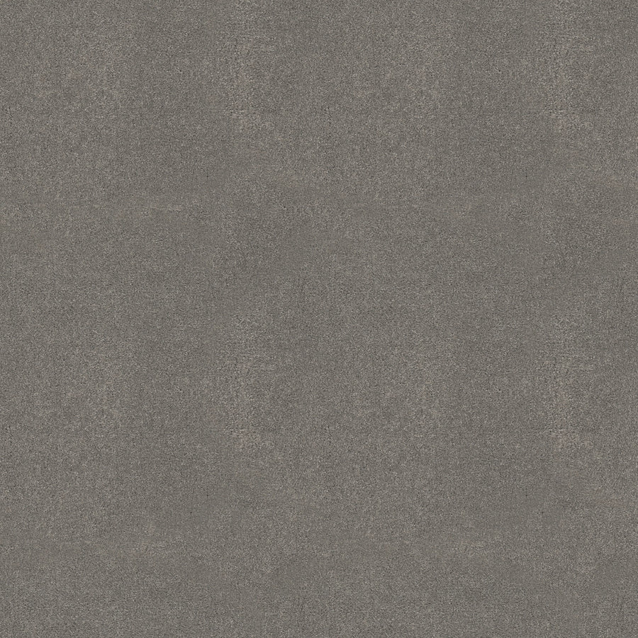 Shaw Floors - Carpet - Simply the Best Values Collection - Solidify III 12' - 12' - Concrete