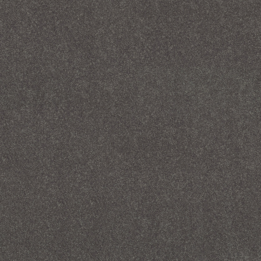 Shaw Floors - Carpet - Simply the Best Values Collection - Solidify III 12' - 12' - Iron