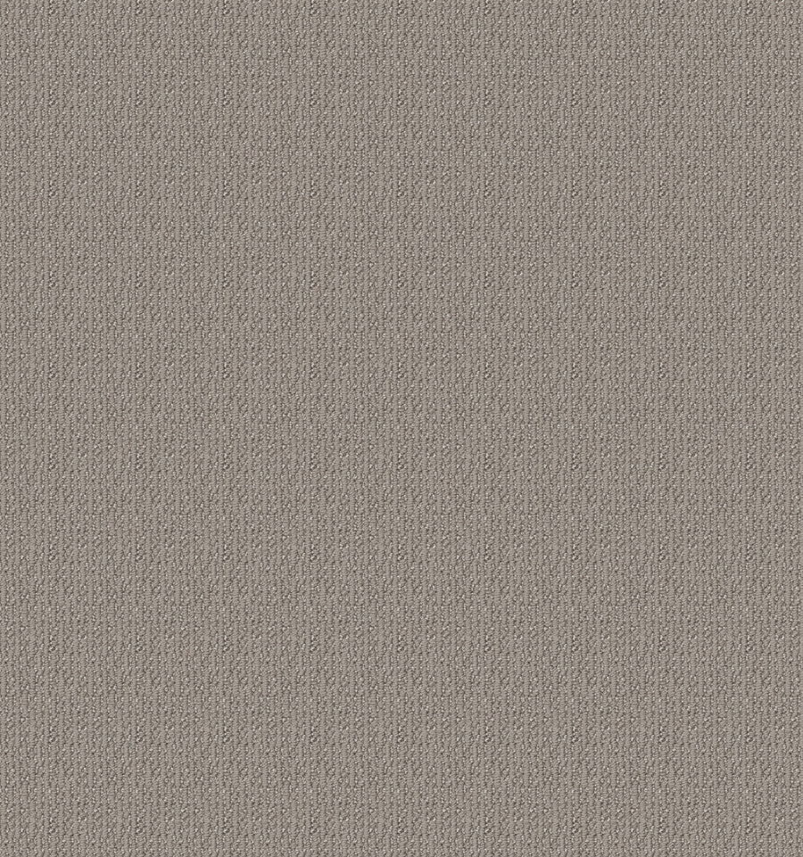 Shaw Floors - Carpet - Simply the Best Values Collection - Iconic Way - 12' - Asteroid