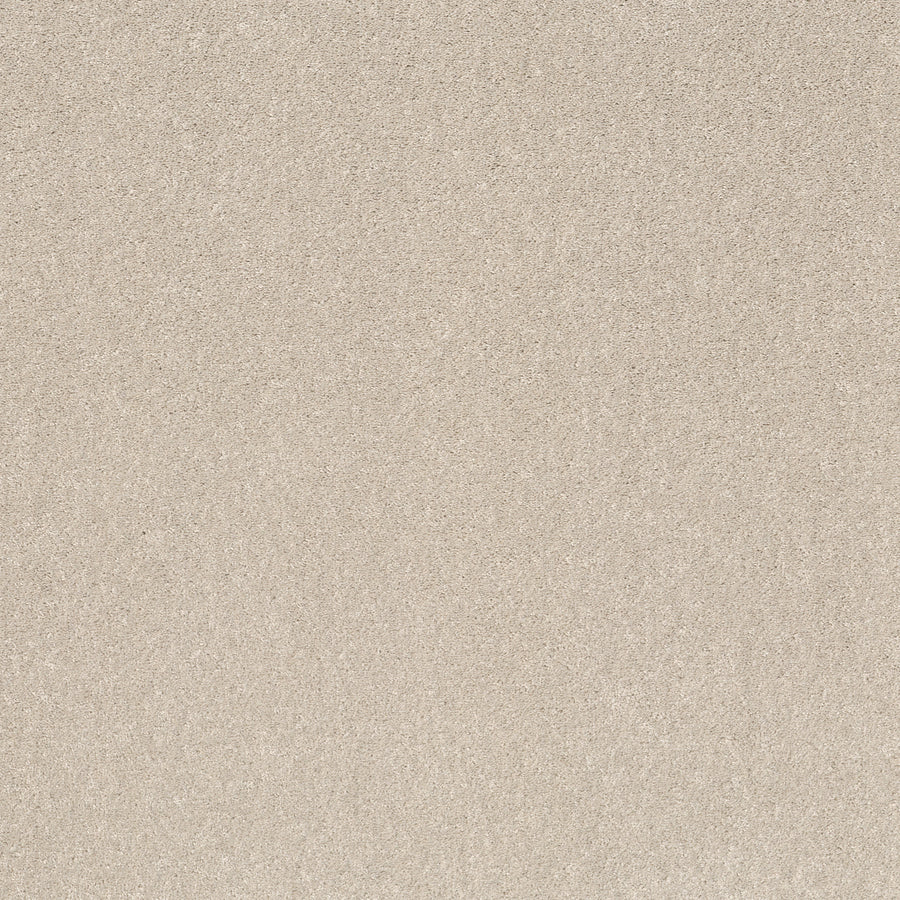 Shaw Floors - Carpet - Simply the Best Values Collection - Smooth Talk II - 12' - Halo