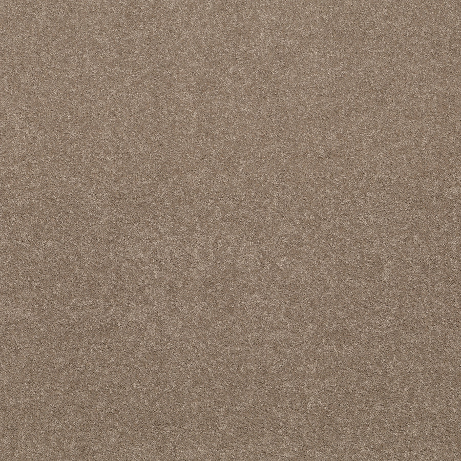 Shaw Floors - Carpet - Simply the Best Values Collection - Smooth Talk II - 12' - Warm Wood