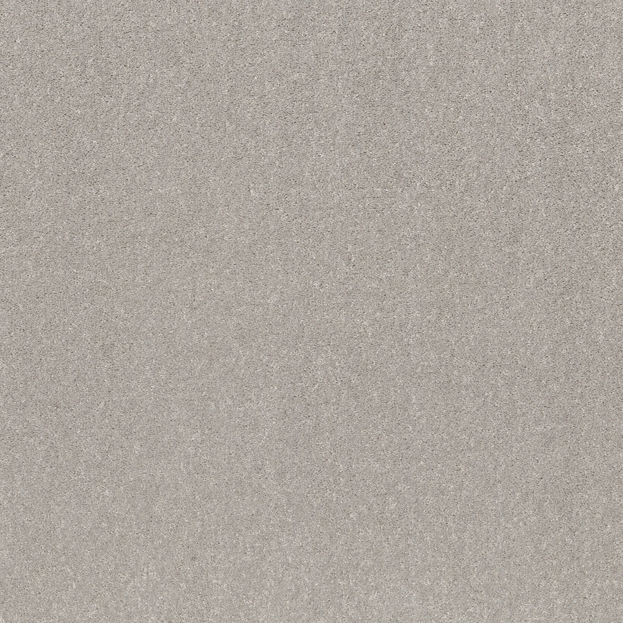 Shaw Floors - Carpet - Simply the Best Values Collection - Smooth Talk II - 12' - Silver Mist
