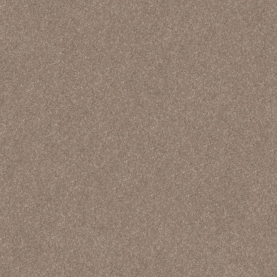 Shaw Floors - Carpet - Simply the Best Values Collection - Smooth Talk II - 12' - Buffington