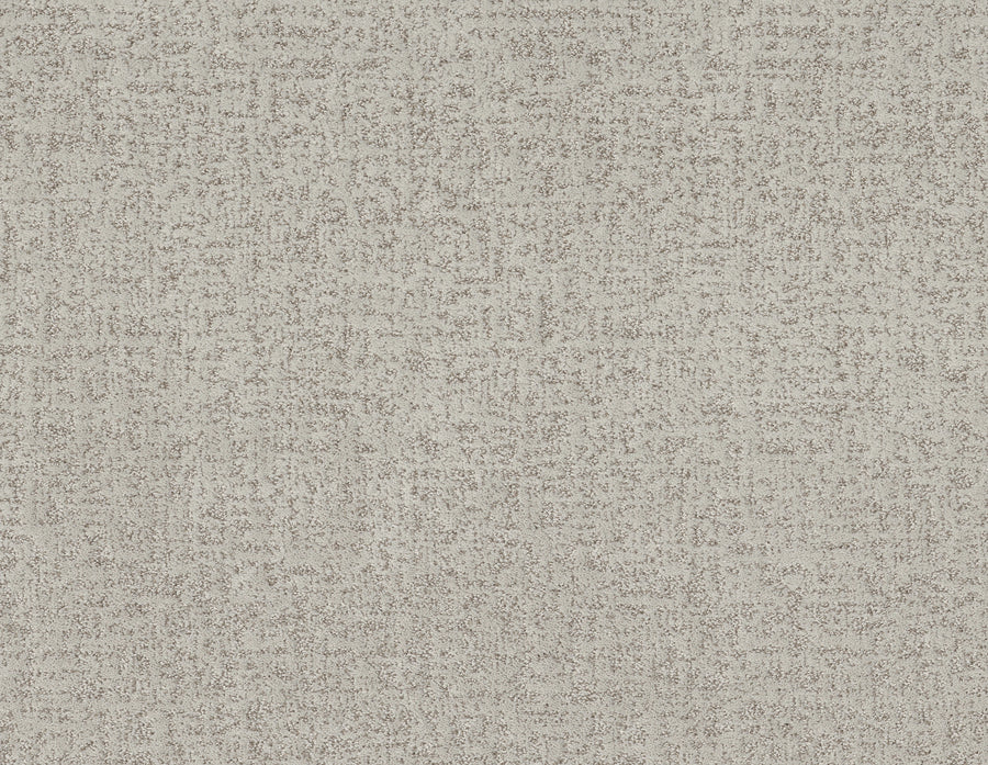 Shaw Floors - Carpet - Pet Perfect + Collection - Home Within - 12' - Frozen