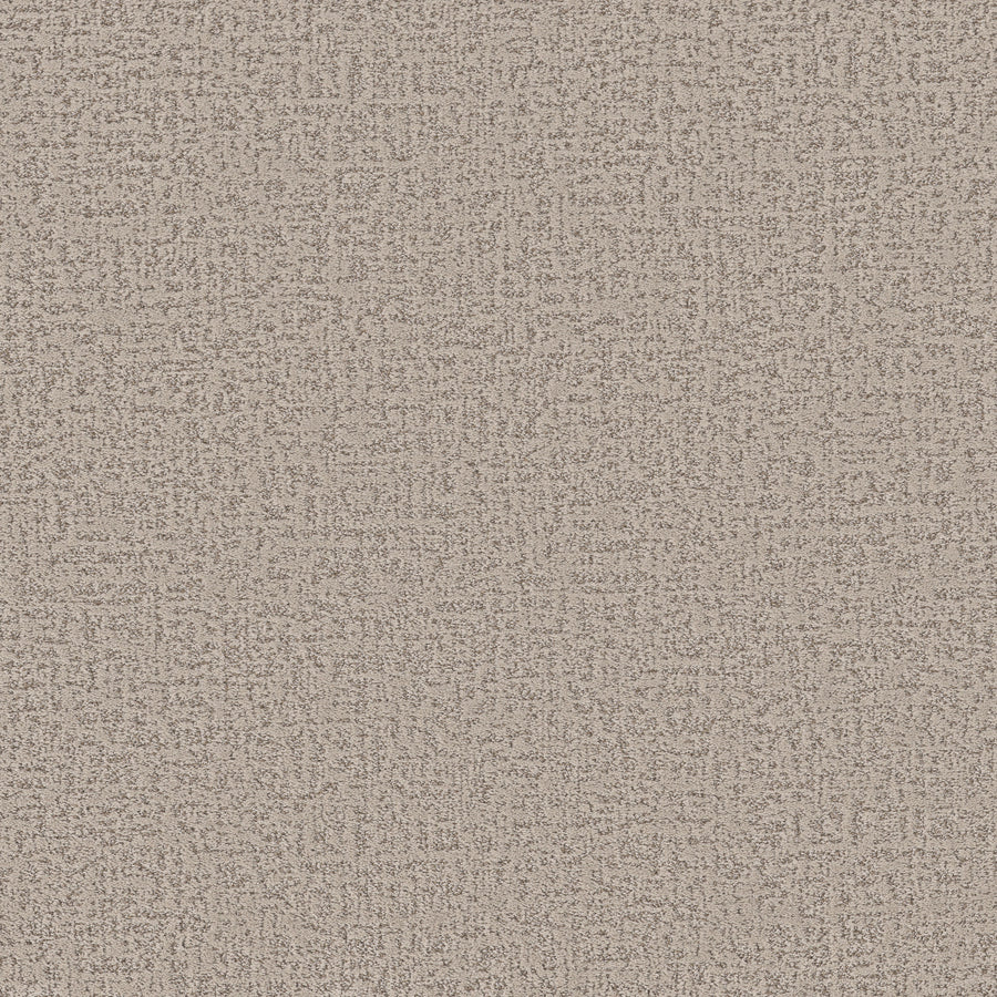 Shaw Floors - Carpet - Pet Perfect + Collection - Home Within - 12' - Soft Sense