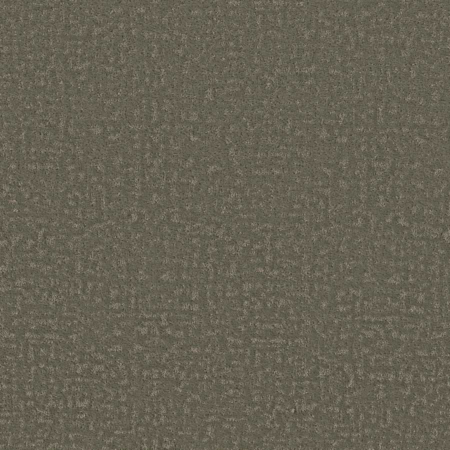 Shaw Floors - Carpet - Pet Perfect + Collection - Home Within - 12' - Rerooted Nature