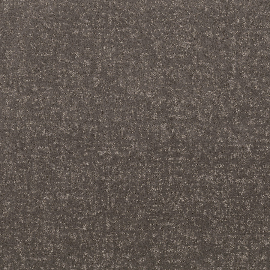 Shaw Floors - Carpet - Pet Perfect + Collection - Home Within - 12' - Ashes