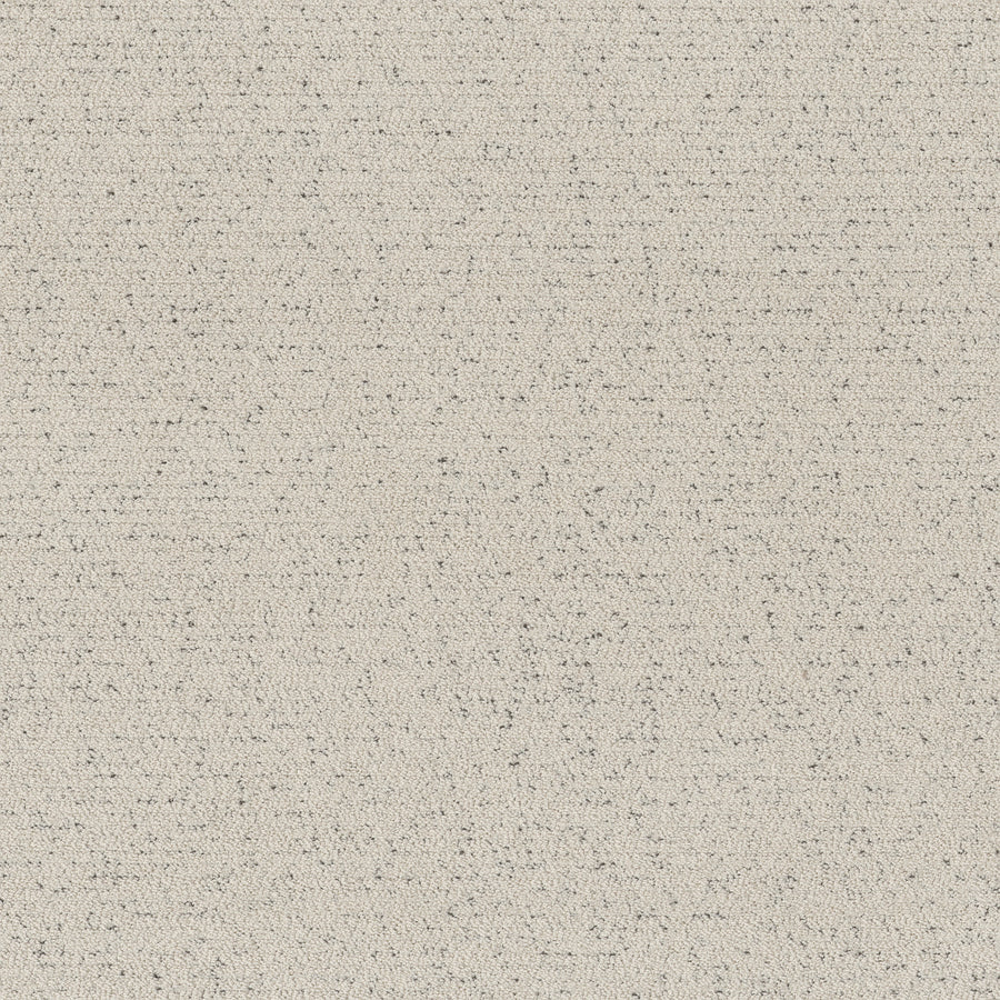 Shaw Floors - Carpet - Pet Perfect™ Collection Collection - Intricate Trace - 12' - Marble