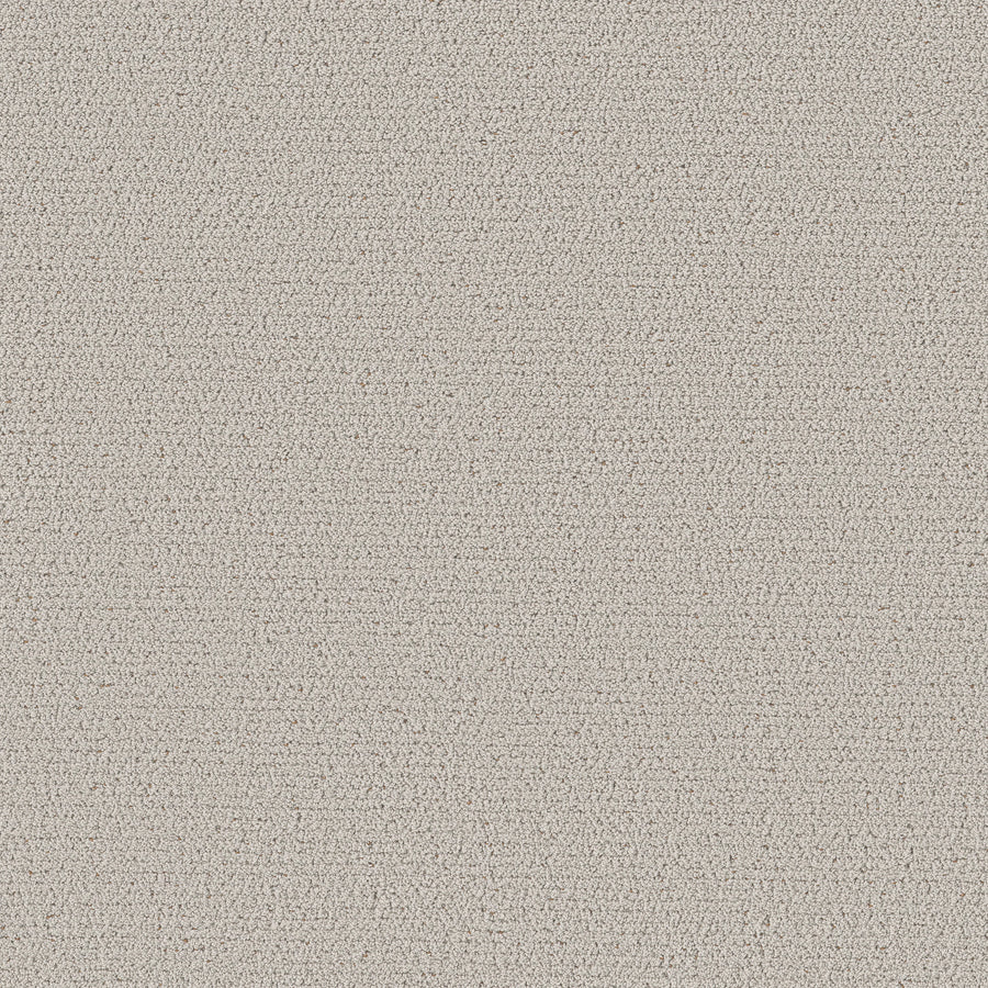 Shaw Floors - Carpet - Pet Perfect™ Collection Collection - Intricate Trace - 12' - Cashmere