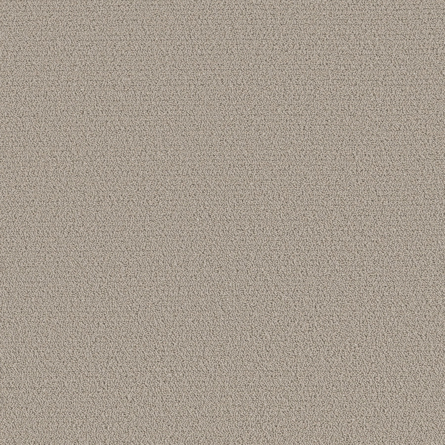 Shaw Floors - Carpet - Pet Perfect™ Collection Collection - Intricate Trace - 12' - Sculpture