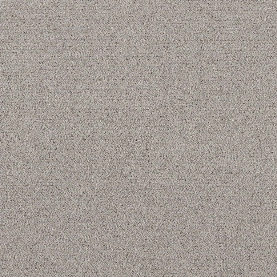 Shaw Floors - Carpet - Pet Perfect™ Collection Collection - Intricate Trace - 12' - Gravity