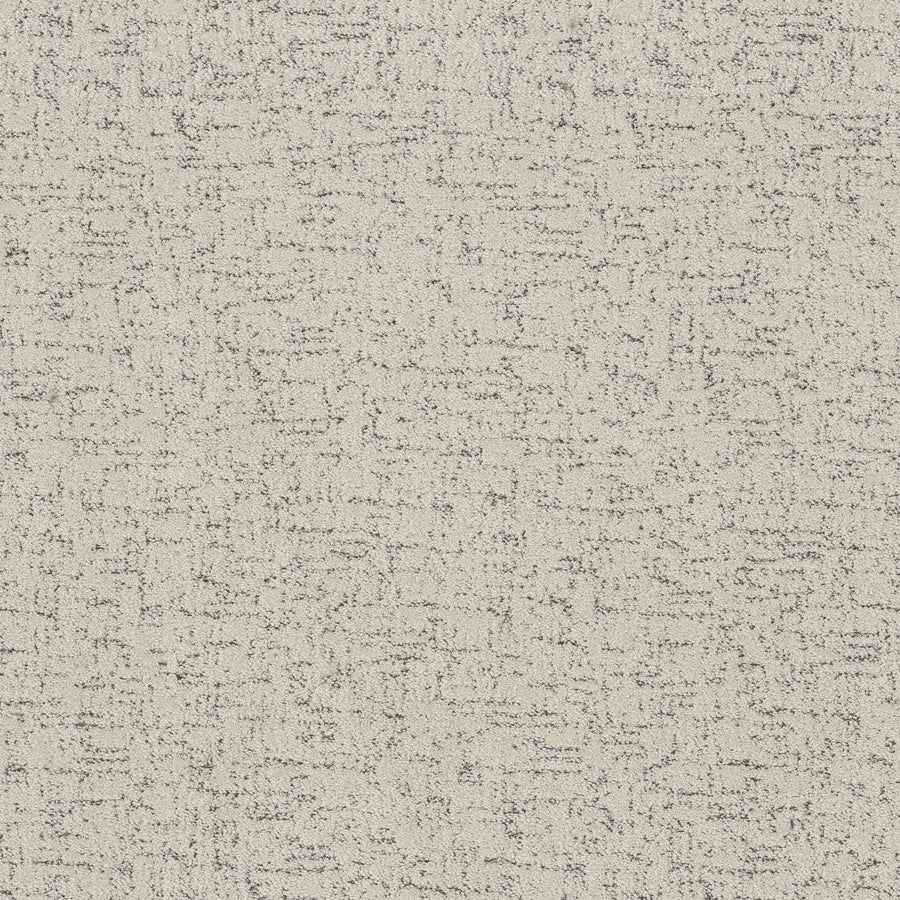 Shaw Floors - Carpet - Pet Perfect Collection - Run Free - 12' - Marble