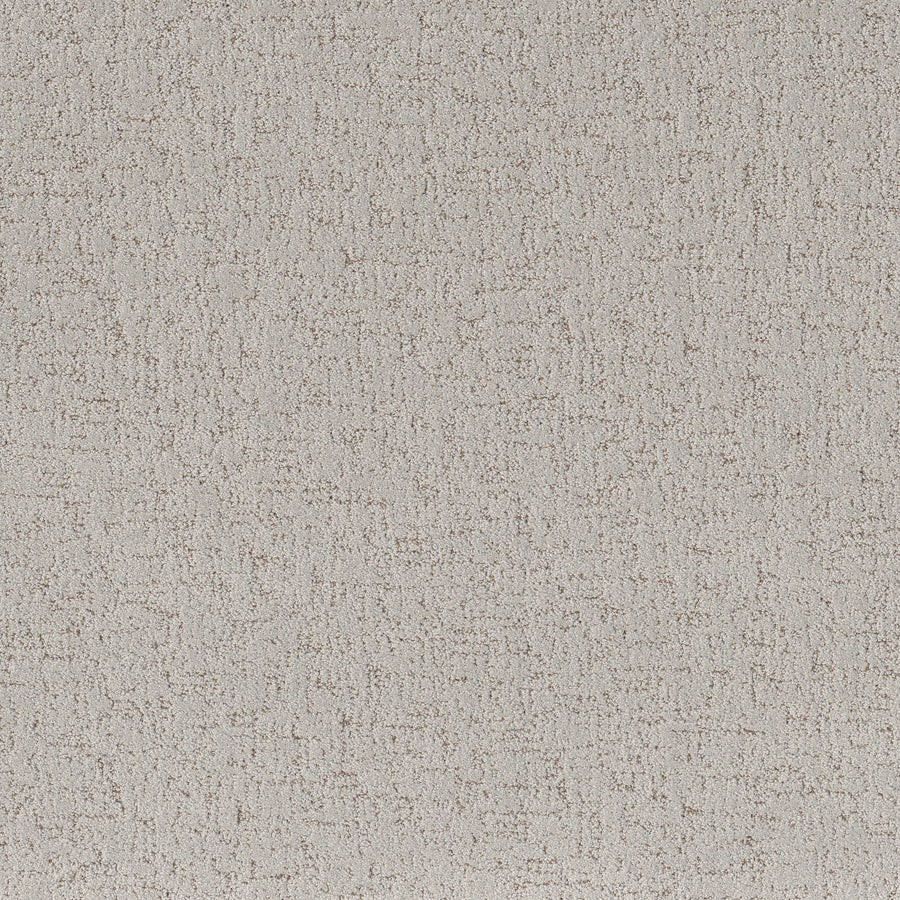 Shaw Floors - Carpet - Pet Perfect Collection - Run Free - 12' - Cashmere