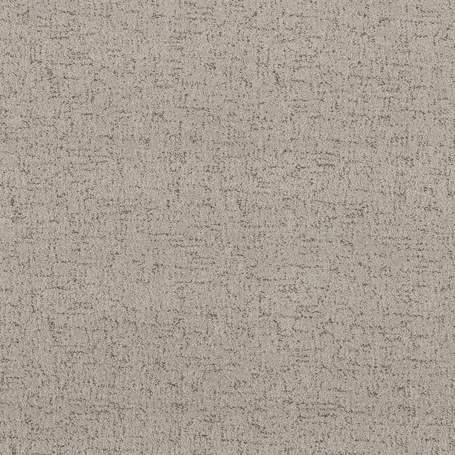 Shaw Floors - Carpet - Pet Perfect Collection - Run Free - 12' - River Birch