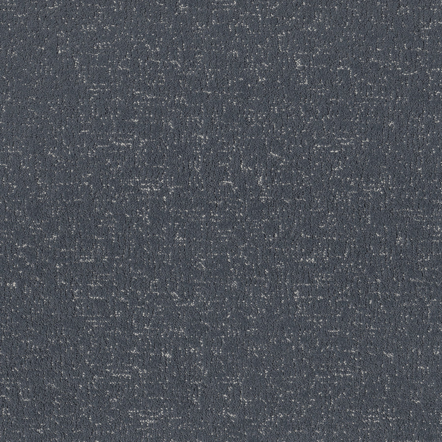Shaw Floors - Carpet - Pet Perfect Collection - Run Free - 12' - Refined
