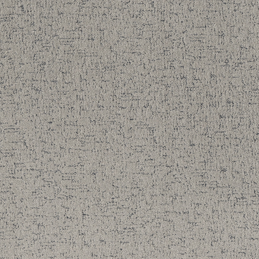Shaw Floors - Carpet - Pet Perfect Collection - Run Free - 12' - Flannel