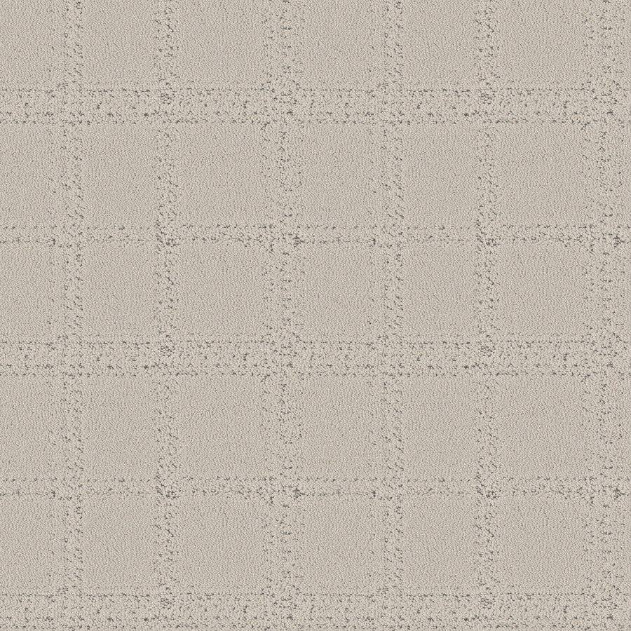 Shaw Floors - Carpet - Pet Perfect Collection - Natural Calm - 12' - Marble