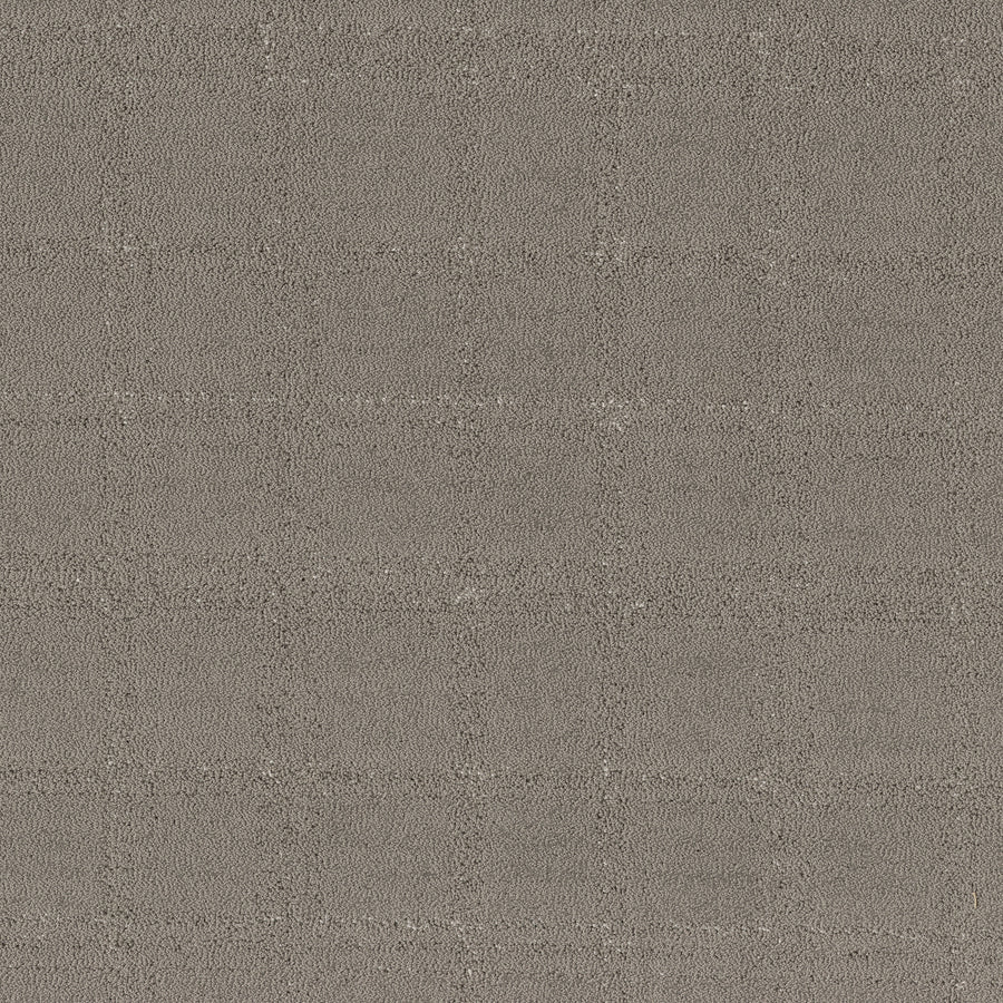 Shaw Floors - Carpet - Pet Perfect Collection - Natural Calm - 12' - Ashes