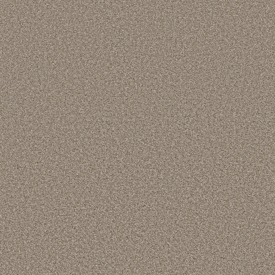 Shaw Floors - Carpet - Simply the Best Values Collection - Trusolutions I - 12' - Beach Cabana