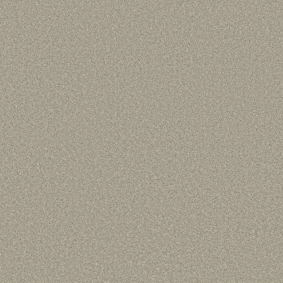 Shaw Floors - Carpet - Simply the Best Values Collection - Trusolutions II - 12' - Bleached Oak
