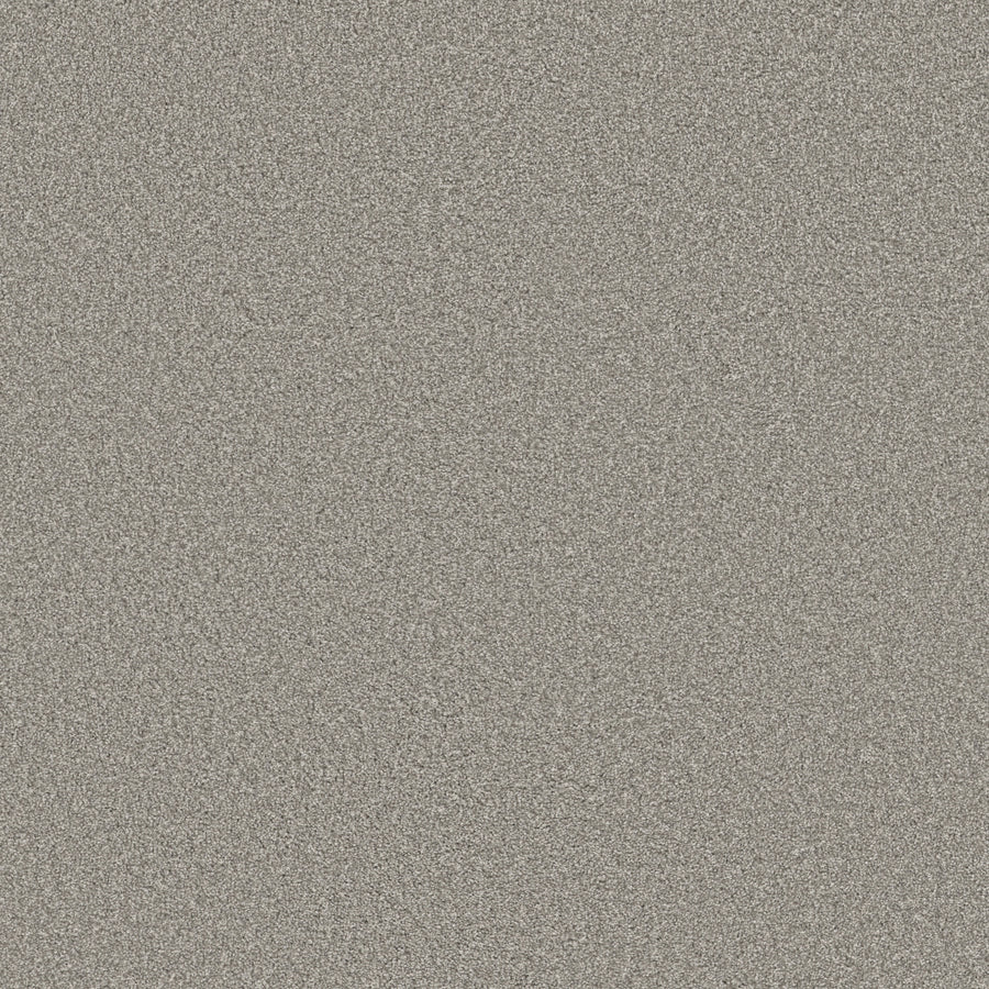 Shaw Floors - Carpet - Simply the Best Values Collection - Trusolutions II - 12' - Concrete