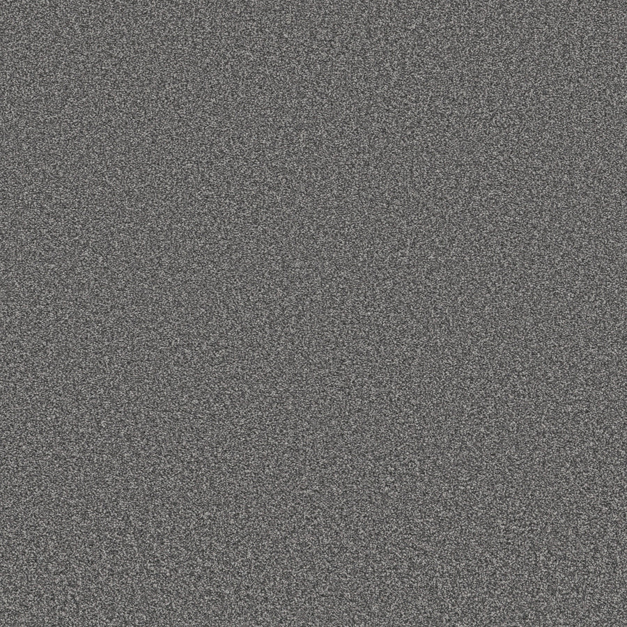 Shaw Floors - Carpet - Simply the Best Values Collection - Trusolutions II - 12' - Mercury