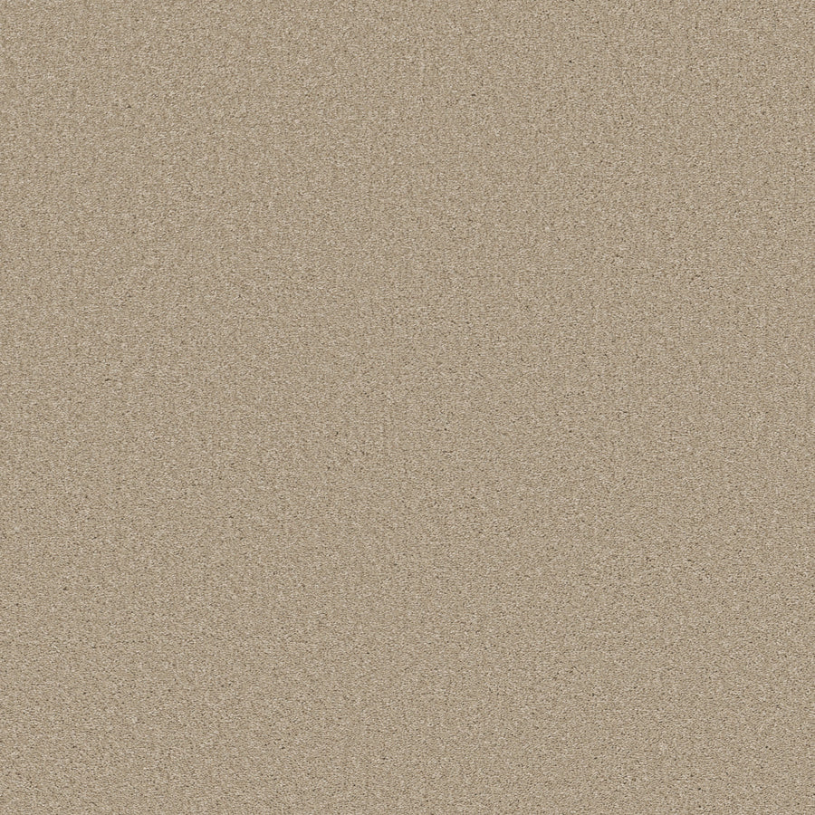 Shaw Floors - Carpet - Simply the Best Values Collection - Well Made - 12' - Agate