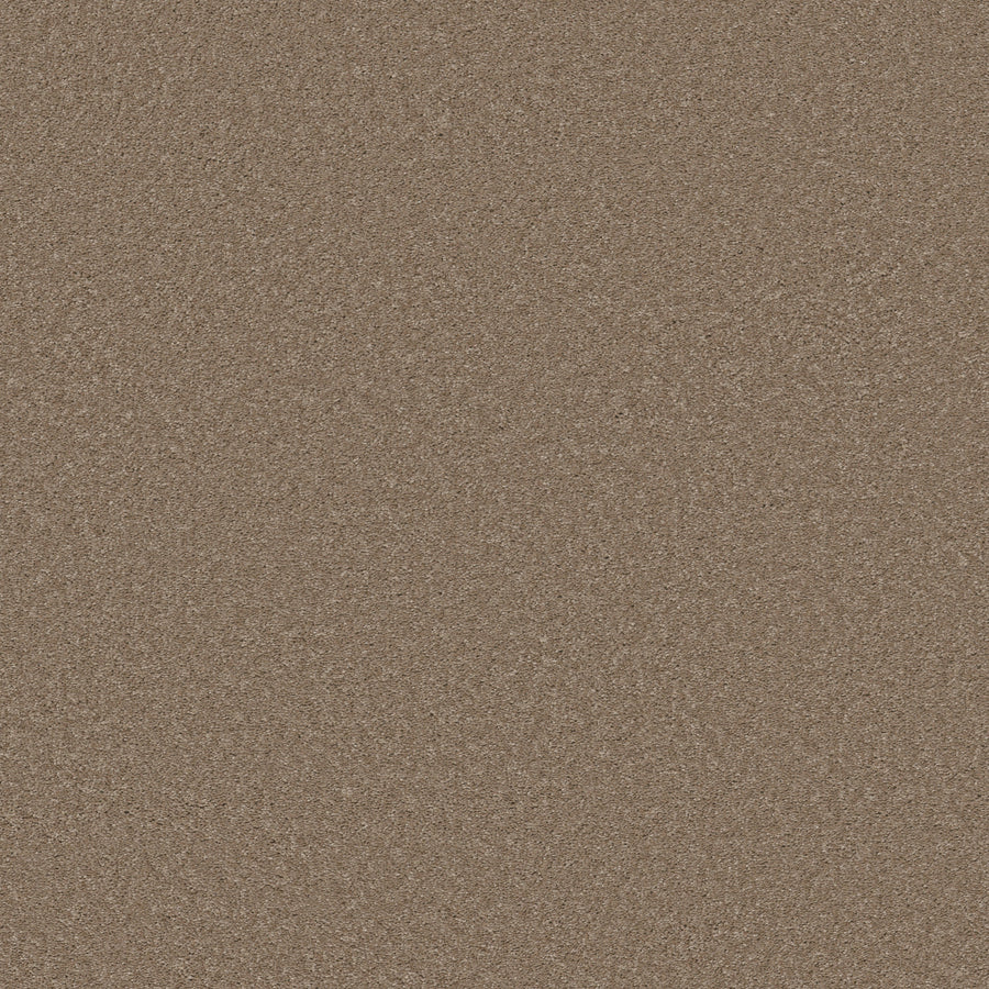 Shaw Floors - Carpet - Simply the Best Values Collection - Well Made - 12' - Pebble Creek