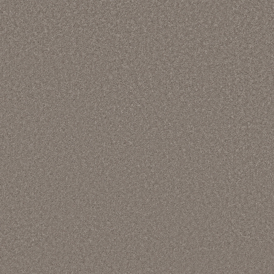 Shaw Floors - Carpet - Simply the Best Values Collection - Well Made - 12' - Mocha Frost
