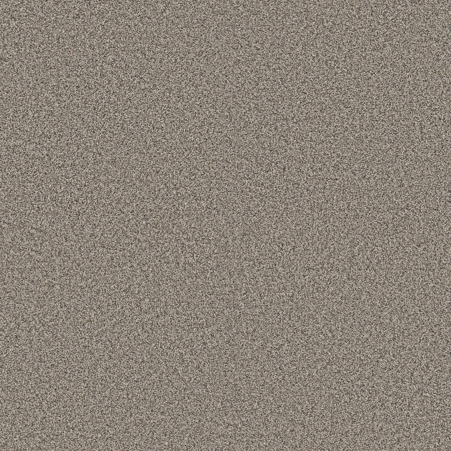 Shaw Floors - Carpet - Pet Perfect + Collection - Renewed Energy I - 12' - Prairie Run