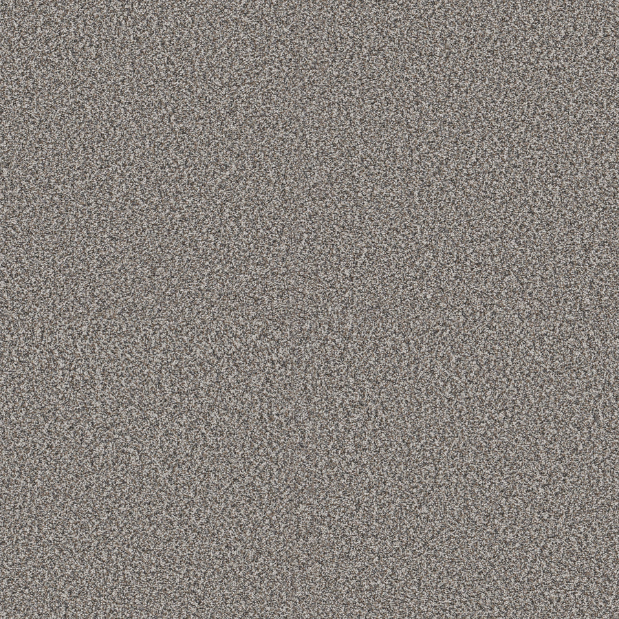 Shaw Floors - Carpet - Pet Perfect + Collection - Renewed Energy I - 12' - Fog