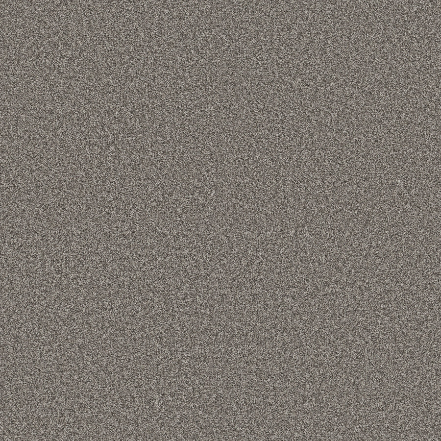 Shaw Floors - Carpet - Pet Perfect + Collection - Renewed Energy I - 12' - Cityscape