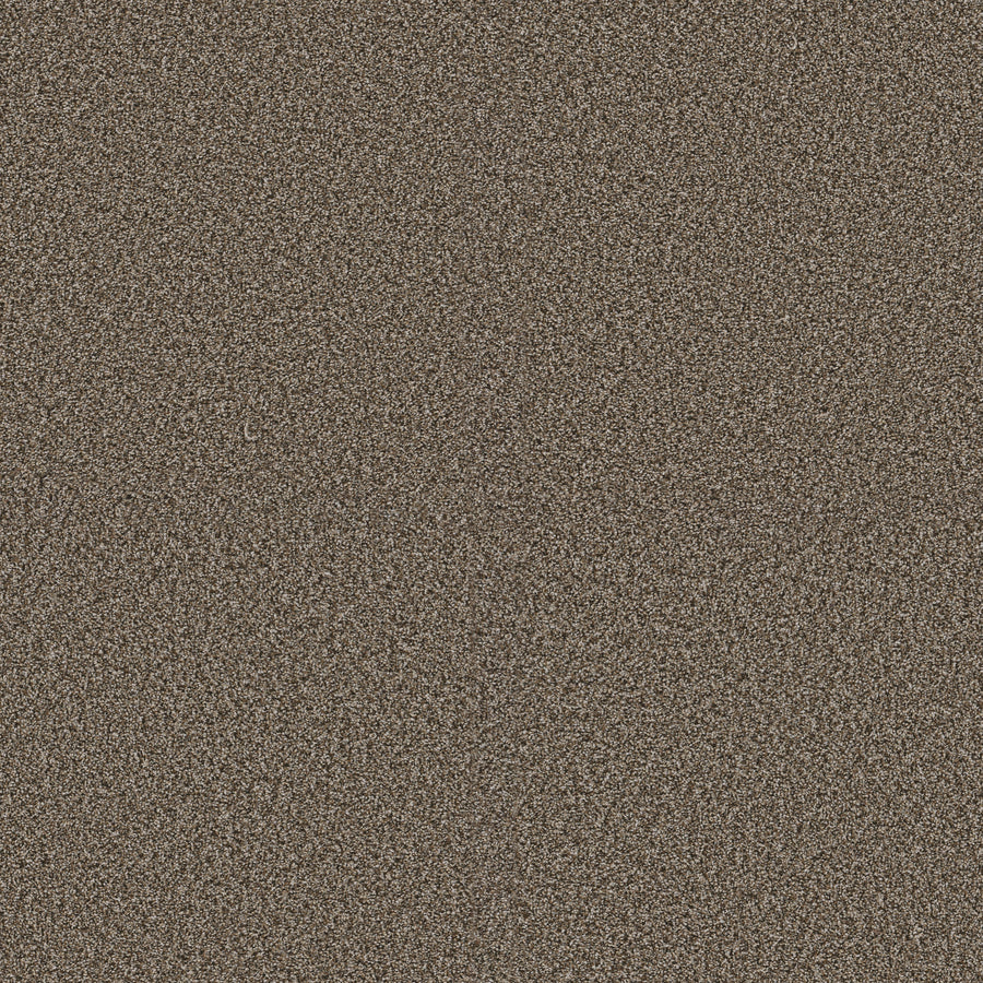 Shaw Floors - Carpet - Pet Perfect + Collection - Renewed Energy I - 12' - Fence Post