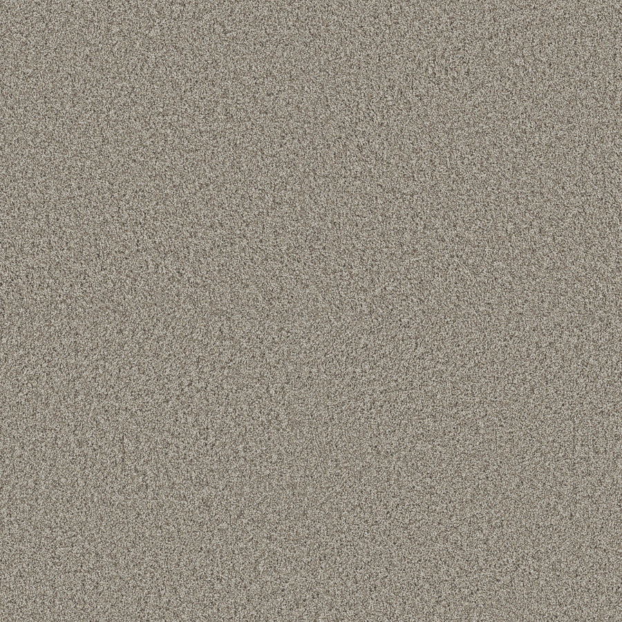 Shaw Floors - Carpet - Pet Perfect + Collection - Renewed Energy II - 12' - Landscape