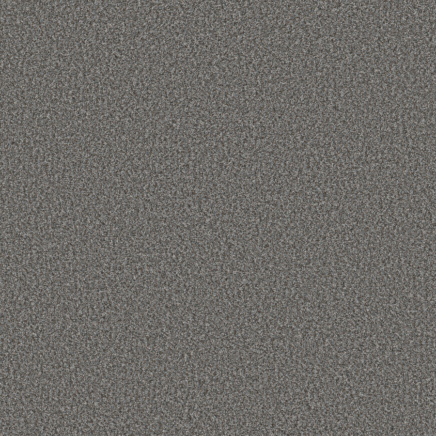 Shaw Floors - Carpet - Pet Perfect + Collection - Renewed Energy II - 12' - Paris Sky