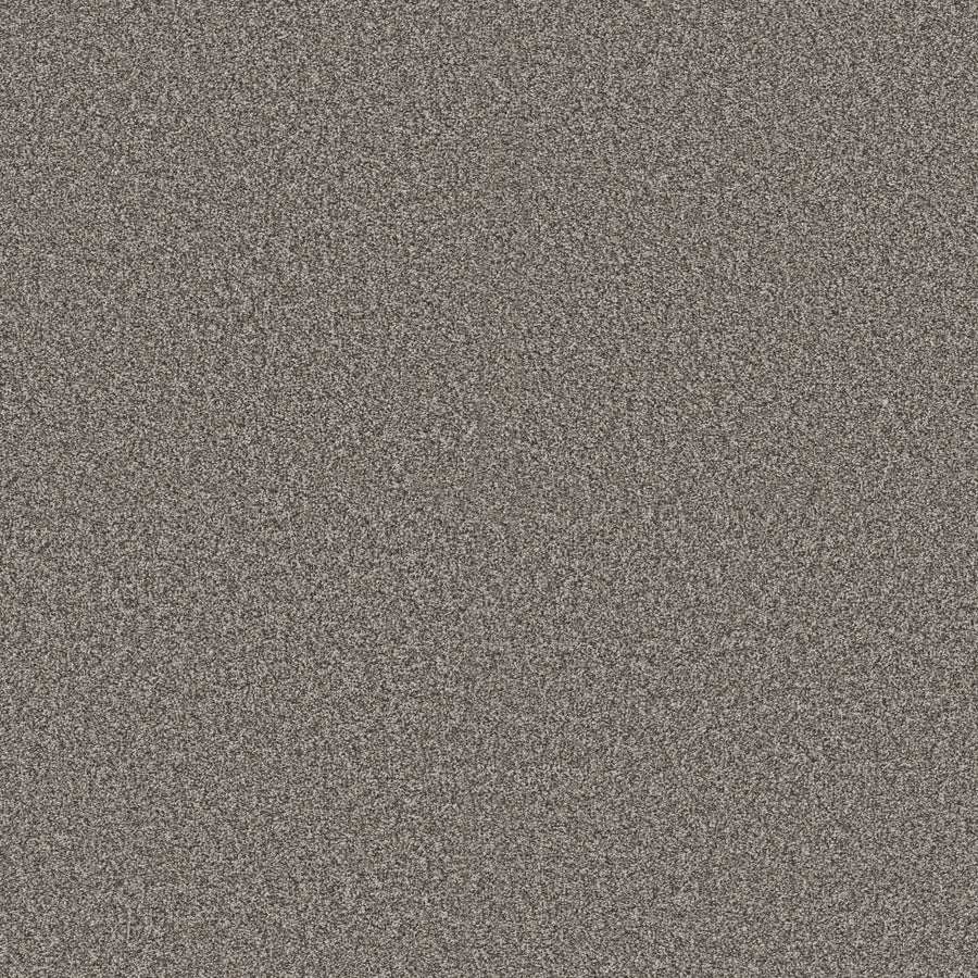 Shaw Floors - Carpet - Pet Perfect + Collection - Renewed Energy II - 12' - Cityscape